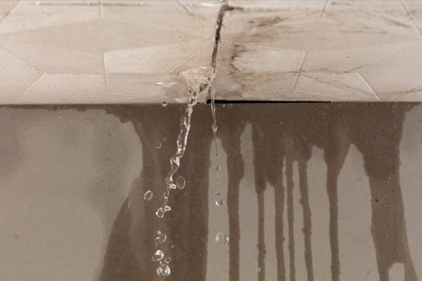 Professional Structural Drying technician working in Charlton, MA